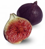 Fig