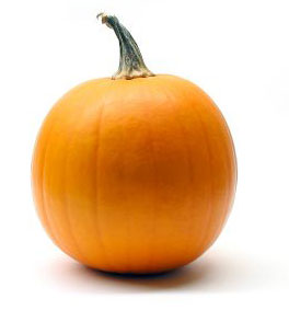 Pumpkin Squash