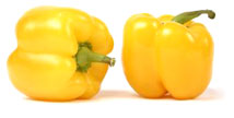 Yellow Pepper